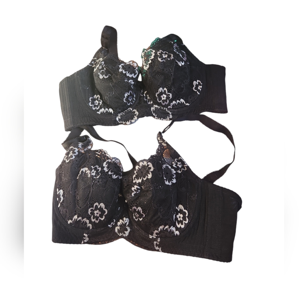 Bras size 36D